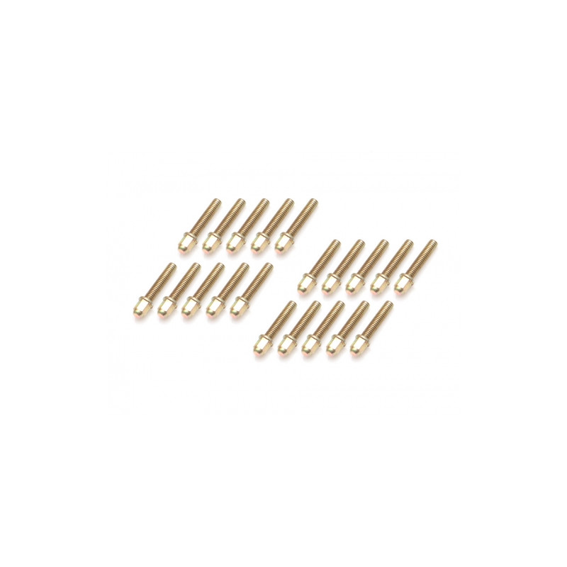 Boom Racing BRPROB-11GD ProBuild Mag Seat Lug Nut 12.9 Grade M2x8mm Scale Hardware Set (20) Gold