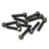 Boom Racing BRW780946E M2x8mm Retro Scale Bolt 10.9 Grade Wheel Screw (10) Black