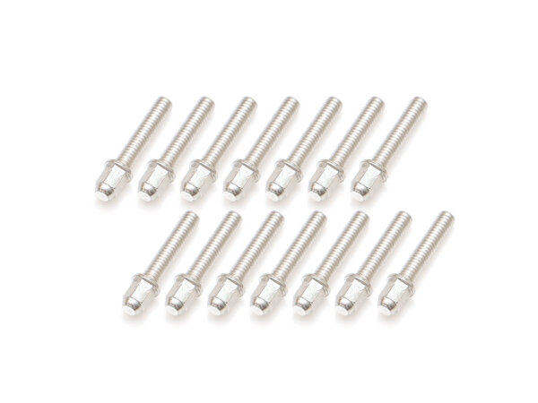 BoomRacing ProBuild Mag Seat Lug Nut 12.9 Grade M2.5x12mm Scale Hardware Set (14) Silver BRPROB-18S