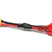 Team Raffee & Co 5 lead RC Multi Function Charger...