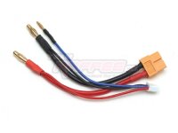 Team Raffee & Co 4mm Bullet Banana to Female XT60...