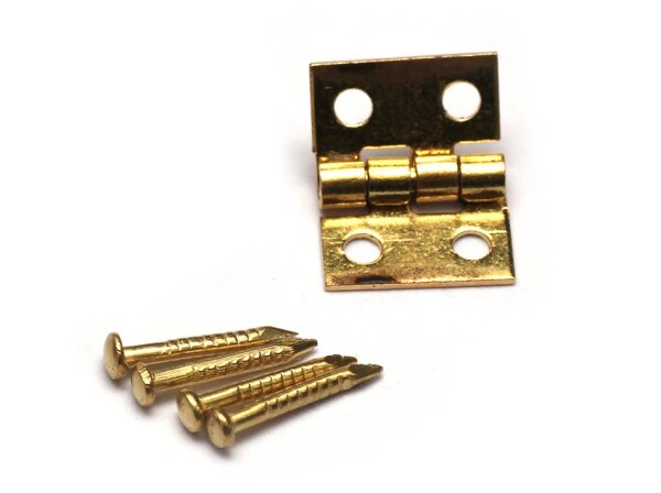 Team Raffee & Co 1/10 Scale Door Hinge With Screws BRSCAC087
