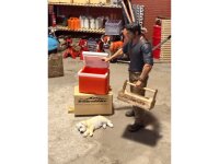 CRM Real Scale Kühlbox 1/10 orange oder blau